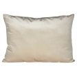 Cushion 1009003 Ivory 45 x 15 x 60 cm For Sale