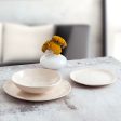 Dessert dish Bidasoa Cosmos White Ceramic Ø 20 cm (12 Units) For Discount