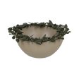 Centerpiece Green Beige Iron 33 x 33 x 15 cm For Cheap