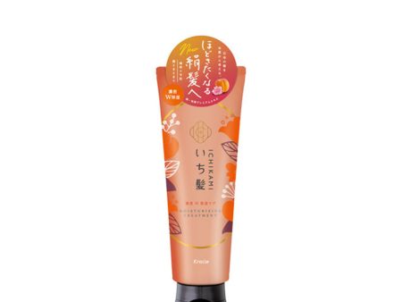 KRACIE Ichikami Rich & Moisturizing Care Treatment Fashion